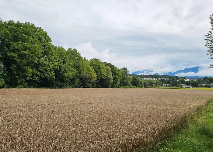 Torkar Velden Apartment *